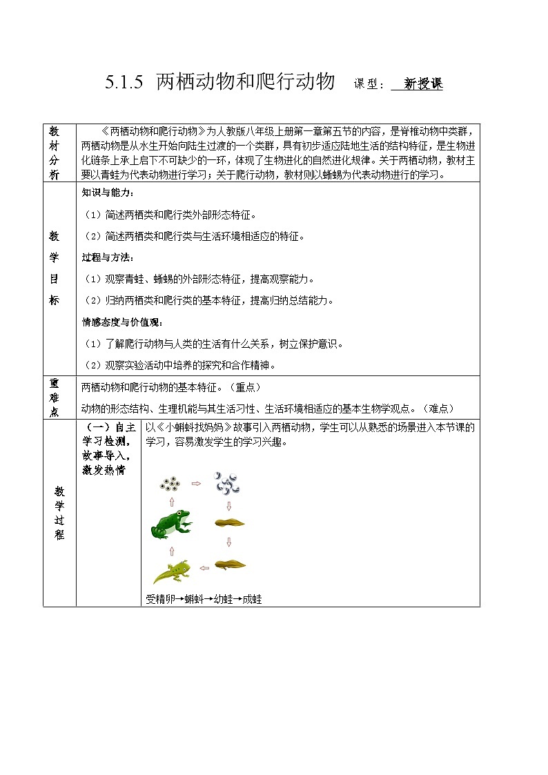 人教版八年级上册5.1.5《两栖动物和爬行动物》课件+教案+导学案+分层作业01