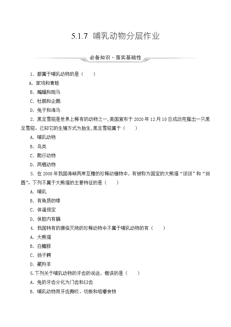 人教版八年级上册5.1.7《哺乳动物》课件+教案+导学案+分层作业01