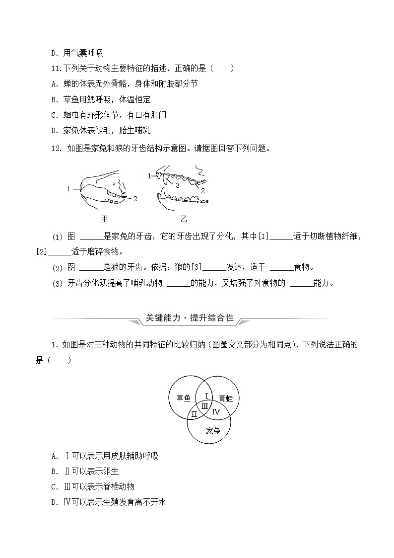 人教版八年级上册5.1.7《哺乳动物》课件+教案+导学案+分层作业03