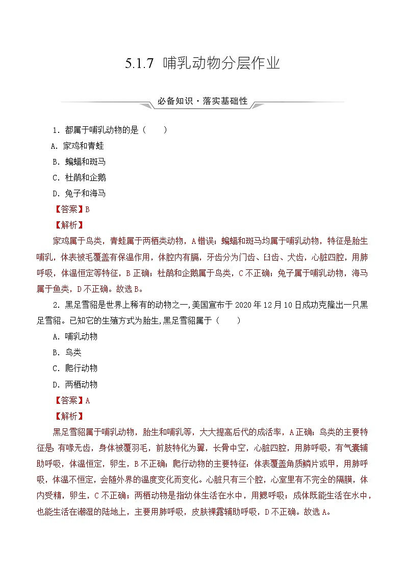 人教版八年级上册5.1.7《哺乳动物》课件+教案+导学案+分层作业01