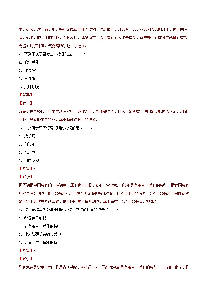 人教版八年级上册5.1.7《哺乳动物》课件+教案+导学案+分层作业03