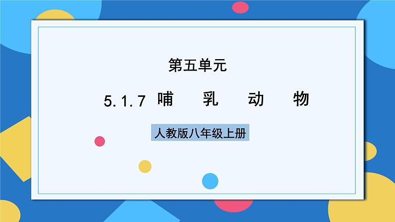 人教版八年级上册5.1.7《哺乳动物》课件+教案+导学案+分层作业01