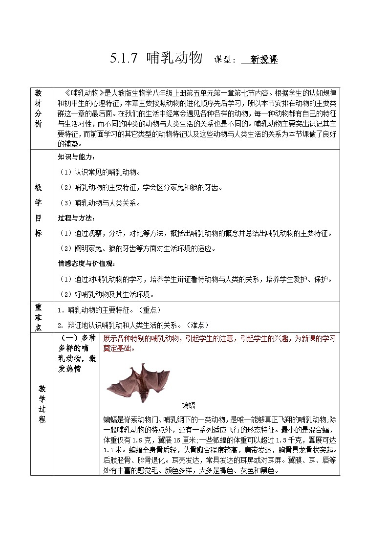 人教版八年级上册5.1.7《哺乳动物》课件+教案+导学案+分层作业01