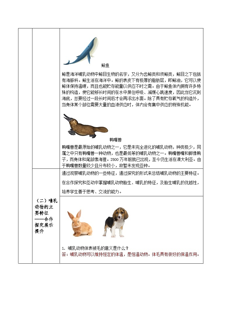 人教版八年级上册5.1.7《哺乳动物》课件+教案+导学案+分层作业02