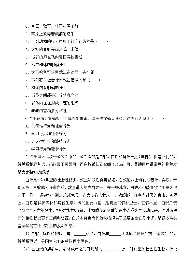 人教版八年级上册5.2.3《社会行为》课件+教案+导学案+分层作业02