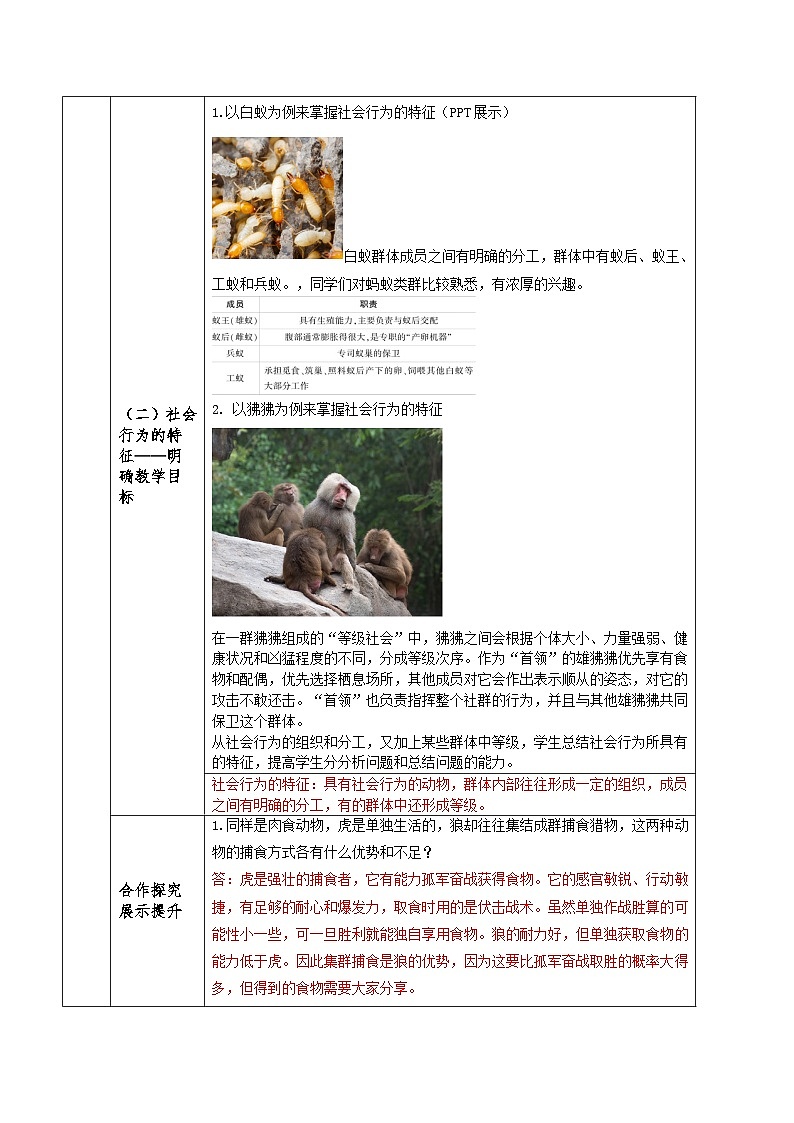 人教版八年级上册5.2.3《社会行为》课件+教案+导学案+分层作业02