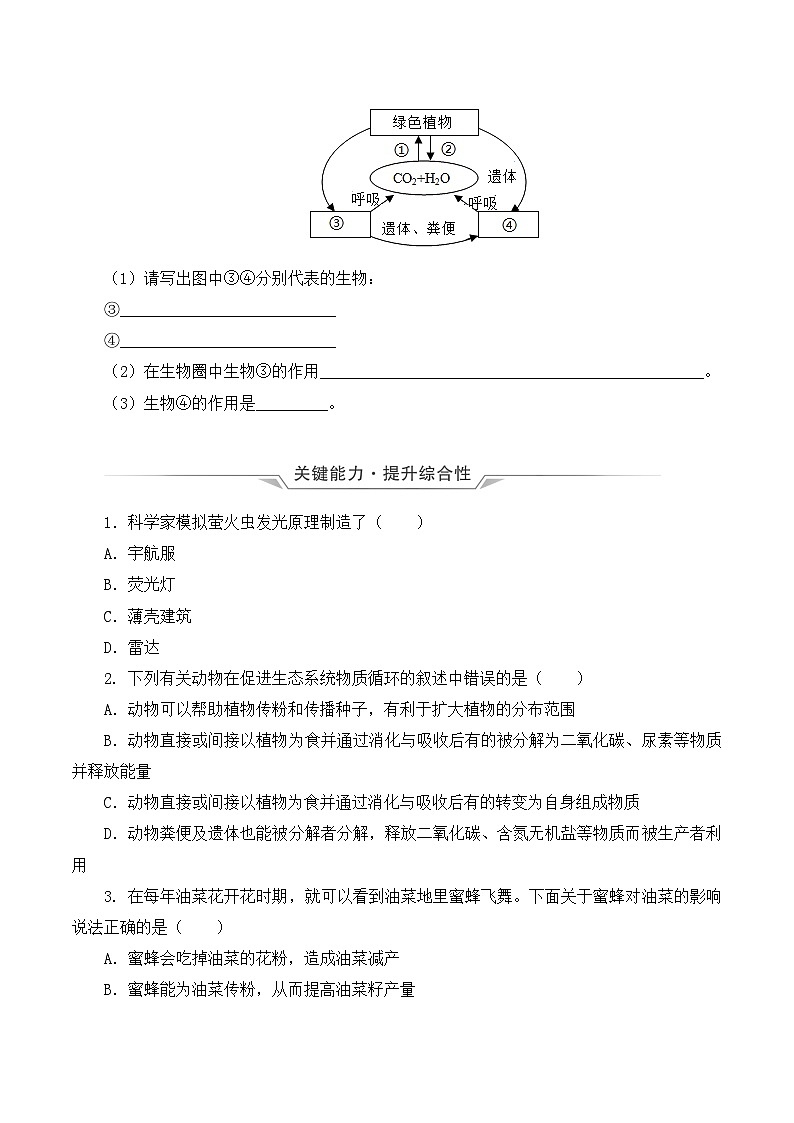 人教版八年级上册5.3《动物在生物圈中的作用》课件+教案+导学案+分层作业03