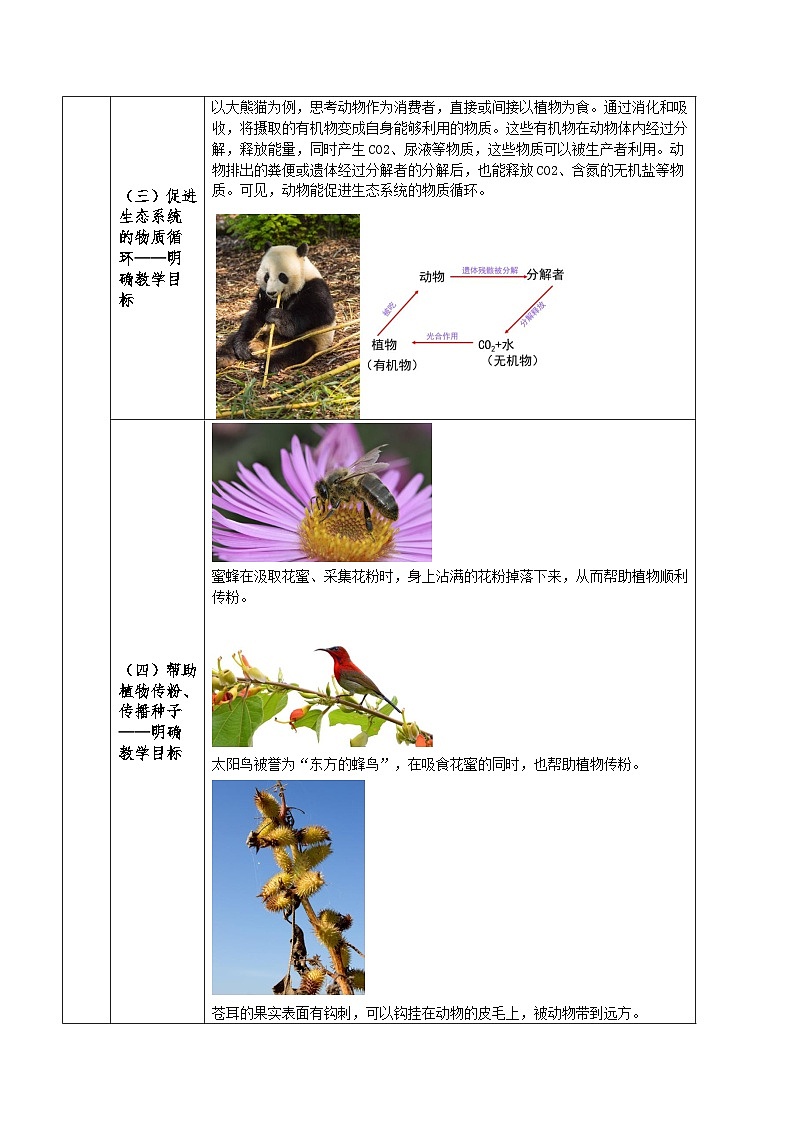 人教版八年级上册5.3《动物在生物圈中的作用》课件+教案+导学案+分层作业03