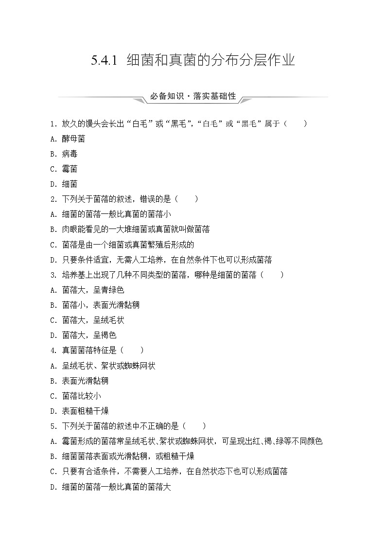 人教版八年级上册5.4.1《细菌和真菌的分布》课件+教案+导学案+分层作业01