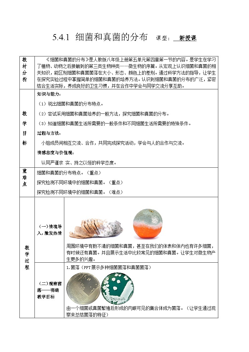 人教版八年级上册5.4.1《细菌和真菌的分布》课件+教案+导学案+分层作业01