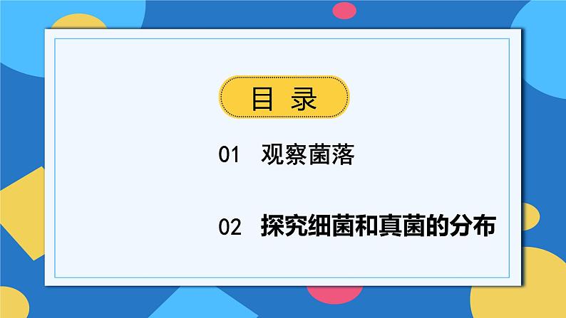 人教版八年级上册5.4.1《细菌和真菌的分布》课件+教案+导学案+分层作业02