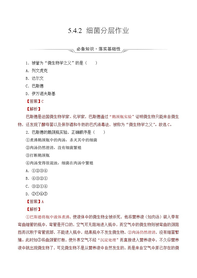 人教版八年级上册5.4.2《细菌》课件+教案+导学案+分层作业01
