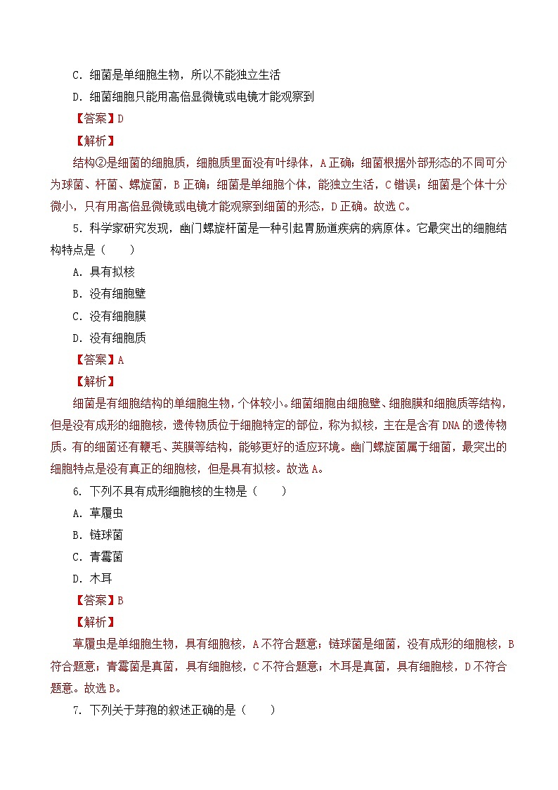 人教版八年级上册5.4.2《细菌》课件+教案+导学案+分层作业03