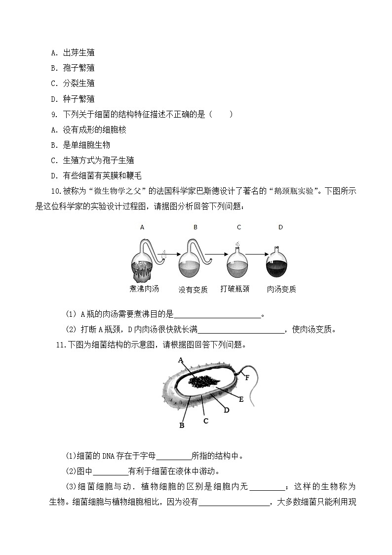 人教版八年级上册5.4.2《细菌》课件+教案+导学案+分层作业03