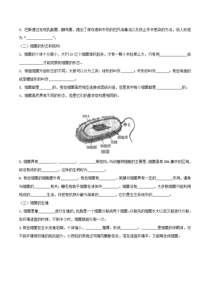 人教版八年级上册5.4.2《细菌》课件+教案+导学案+分层作业02