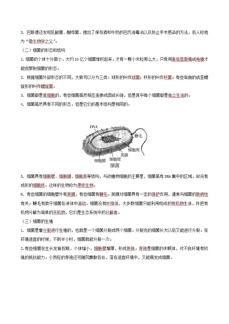 人教版八年级上册5.4.2《细菌》课件+教案+导学案+分层作业02