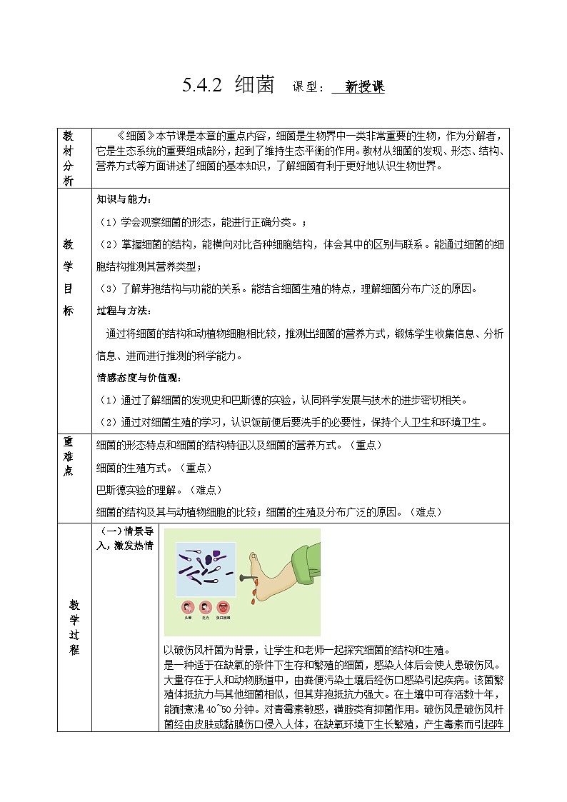 人教版八年级上册5.4.2《细菌》课件+教案+导学案+分层作业01