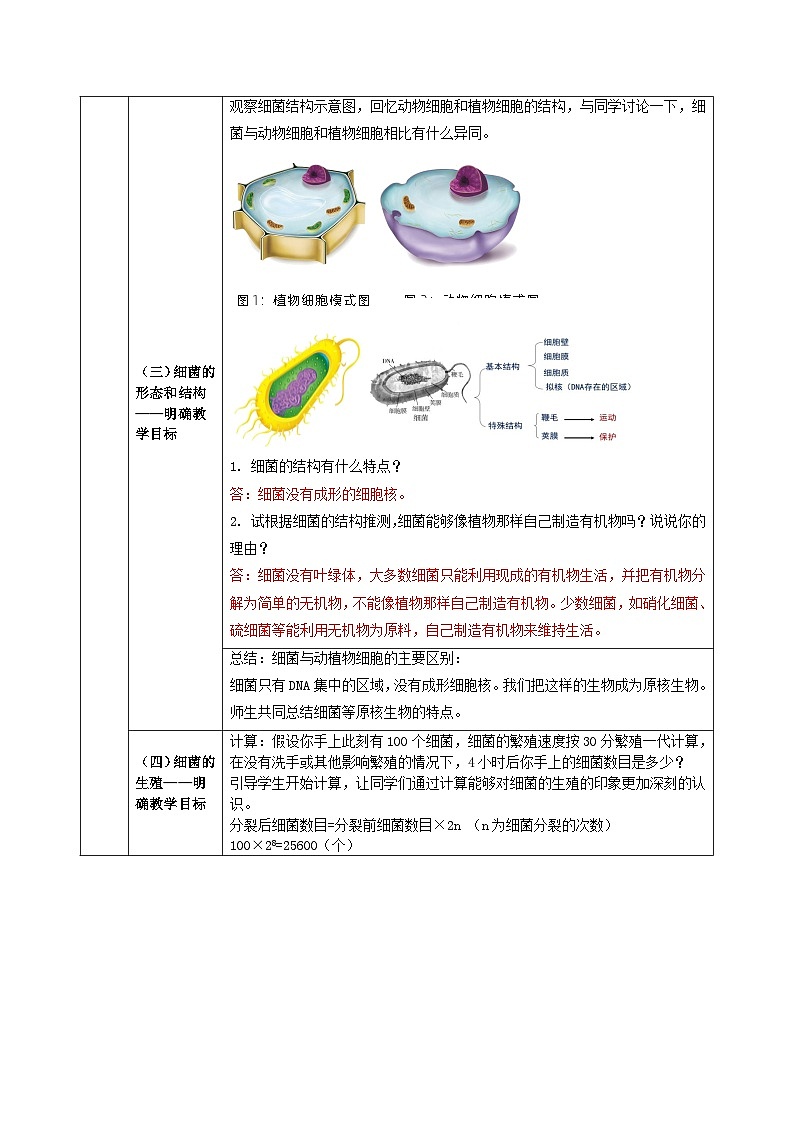人教版八年级上册5.4.2《细菌》课件+教案+导学案+分层作业03