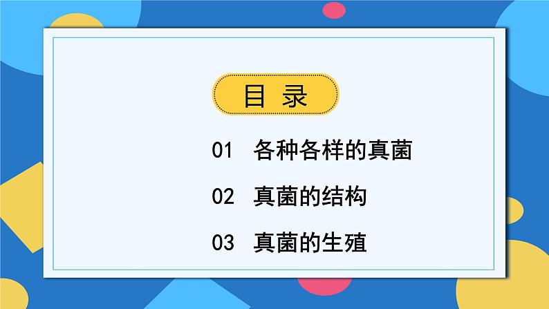 人教版八年级上册5.4.3《真菌》课件+教案+导学案+分层作业02