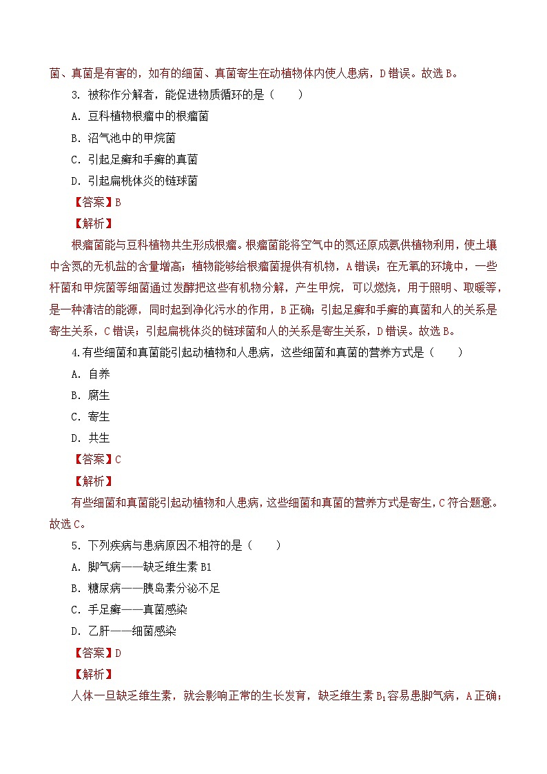 人教版八年级上册5.4.4《细菌和真菌在自然界中的作用》课件+教案+导学案+分层作业02