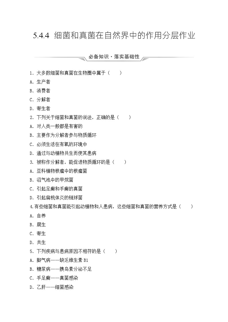 人教版八年级上册5.4.4《细菌和真菌在自然界中的作用》课件+教案+导学案+分层作业01