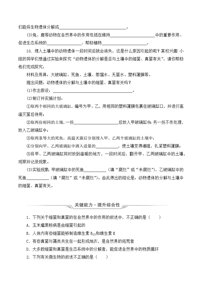 人教版八年级上册5.4.4《细菌和真菌在自然界中的作用》课件+教案+导学案+分层作业03