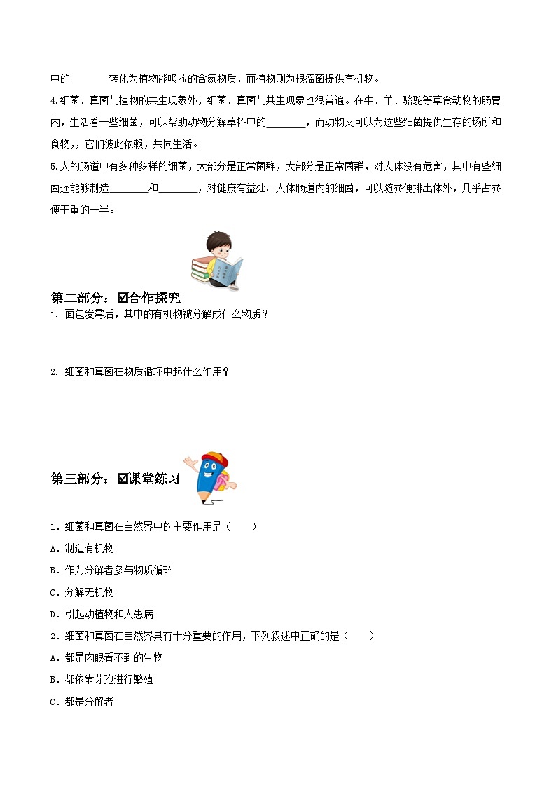 人教版八年级上册5.4.4《细菌和真菌在自然界中的作用》课件+教案+导学案+分层作业02