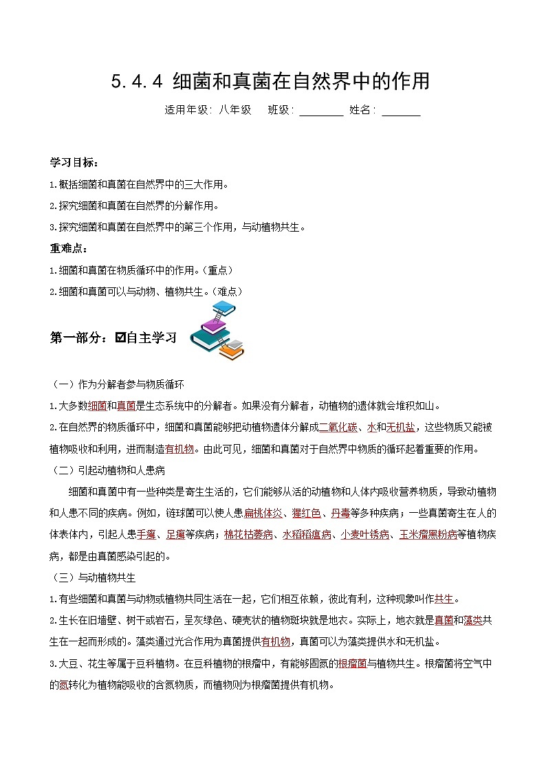 人教版八年级上册5.4.4《细菌和真菌在自然界中的作用》课件+教案+导学案+分层作业01