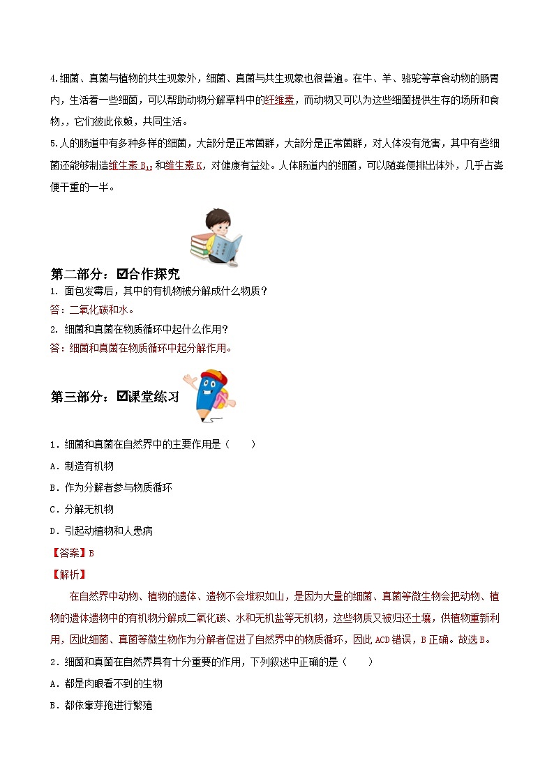 人教版八年级上册5.4.4《细菌和真菌在自然界中的作用》课件+教案+导学案+分层作业02