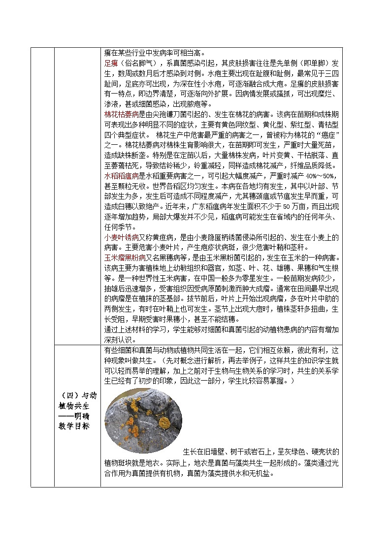 人教版八年级上册5.4.4《细菌和真菌在自然界中的作用》课件+教案+导学案+分层作业03