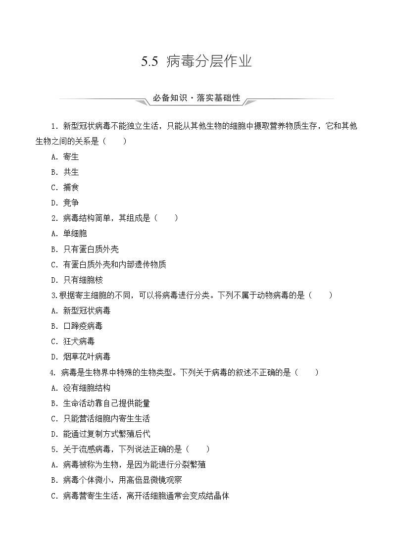 人教版八年级上册5.5《病毒》课件+教案+导学案+分层作业01