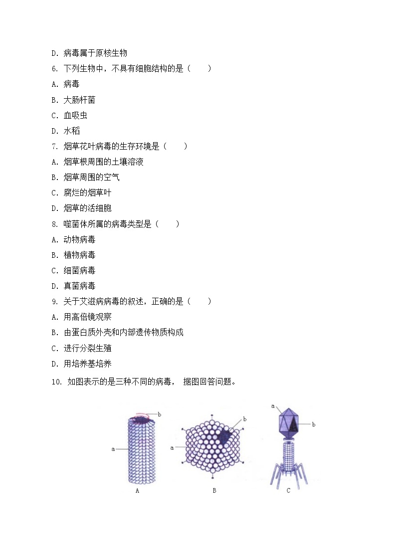 人教版八年级上册5.5《病毒》课件+教案+导学案+分层作业02