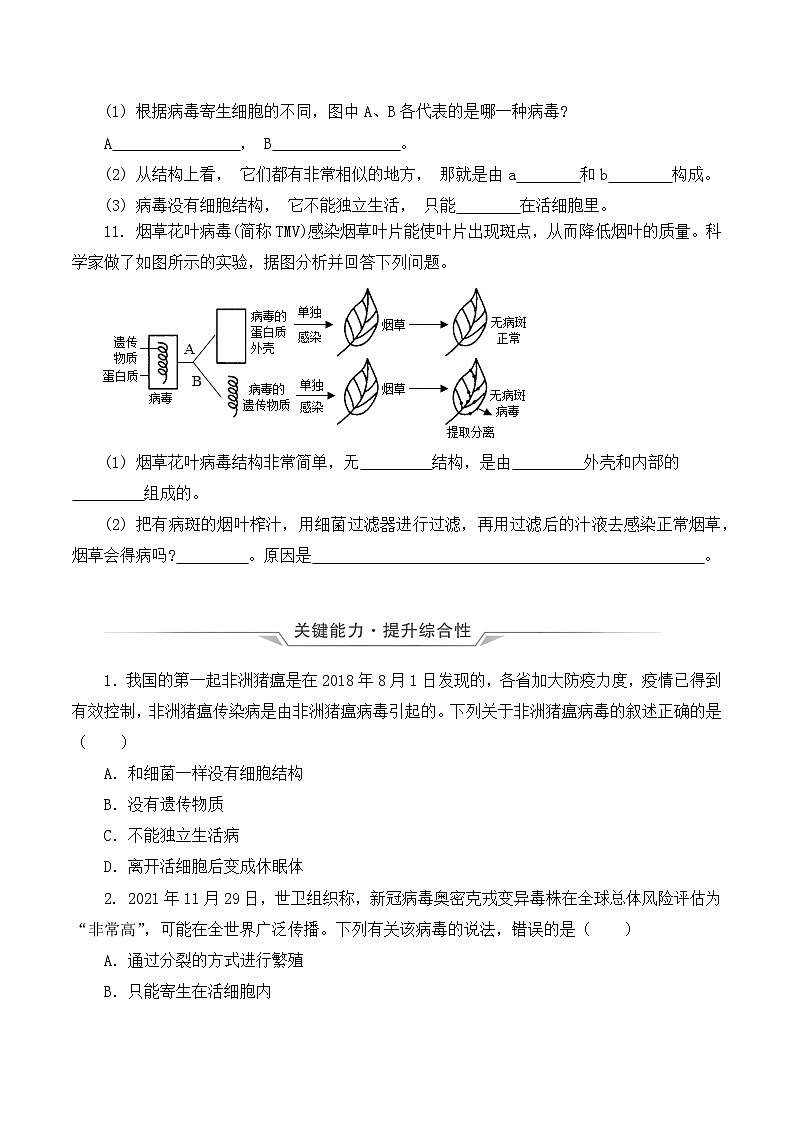 人教版八年级上册5.5《病毒》课件+教案+导学案+分层作业03