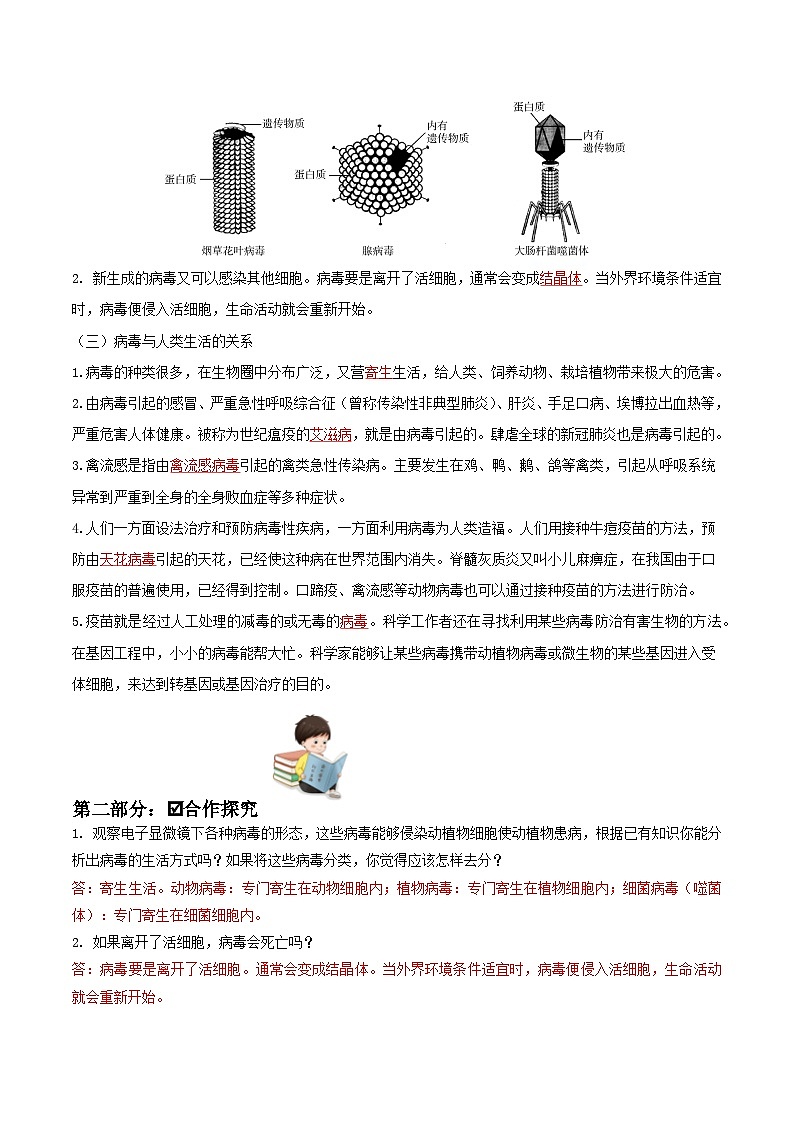 人教版八年级上册5.5《病毒》课件+教案+导学案+分层作业02