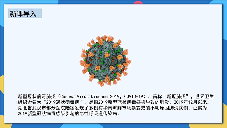 人教版八年级上册5.5《病毒》课件+教案+导学案+分层作业03