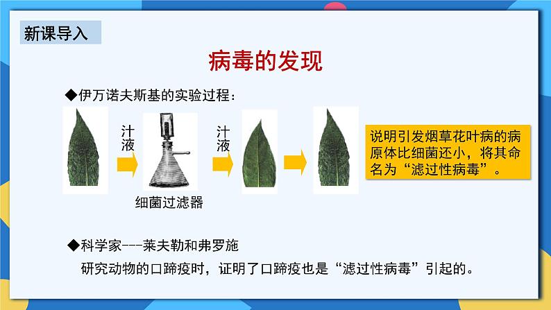 人教版八年级上册5.5《病毒》课件+教案+导学案+分层作业06