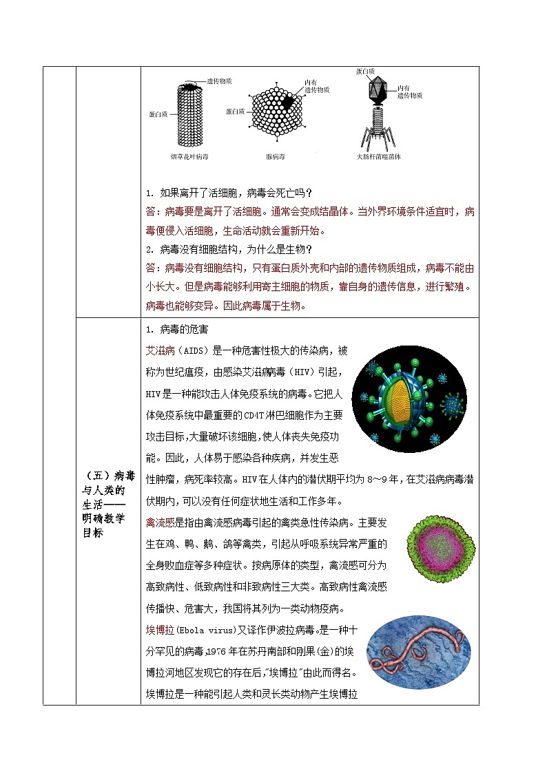 人教版八年级上册5.5《病毒》课件+教案+导学案+分层作业03