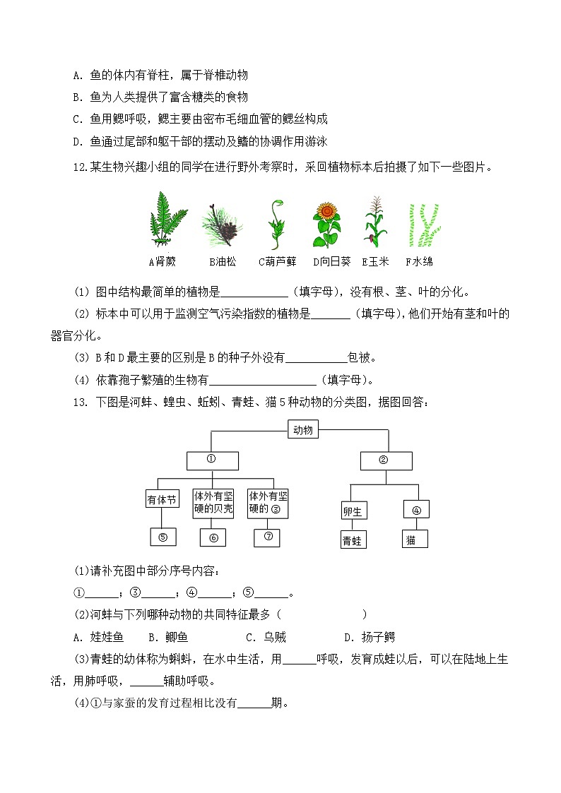人教版八年级上册6.1.1《尝试对生物进行分类》课件+教案+导学案+分层作业03