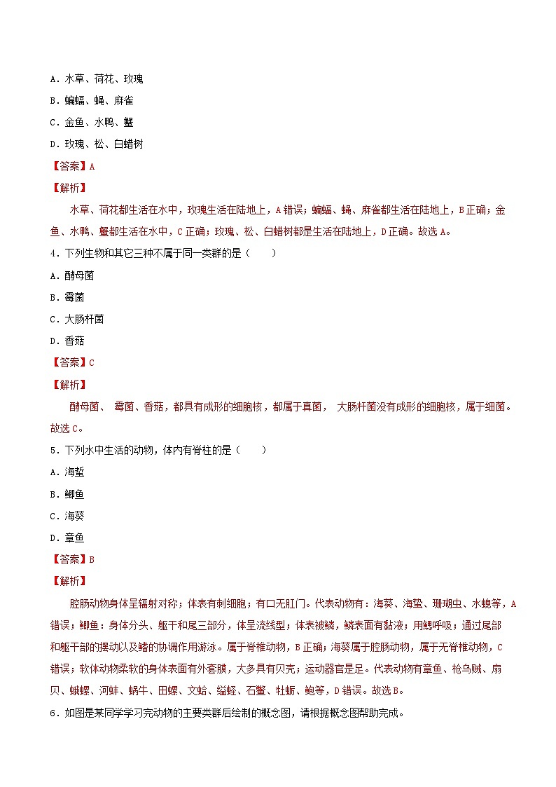 人教版八年级上册6.1.1《尝试对生物进行分类》课件+教案+导学案+分层作业03