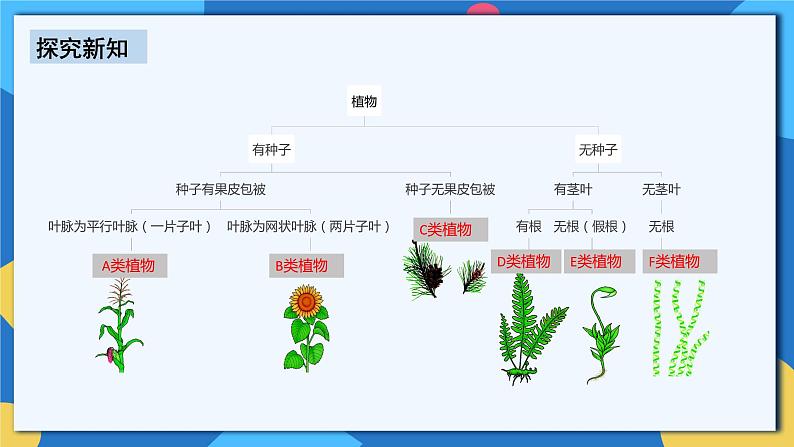 人教版八年级上册6.1.1《尝试对生物进行分类》课件+教案+导学案+分层作业07