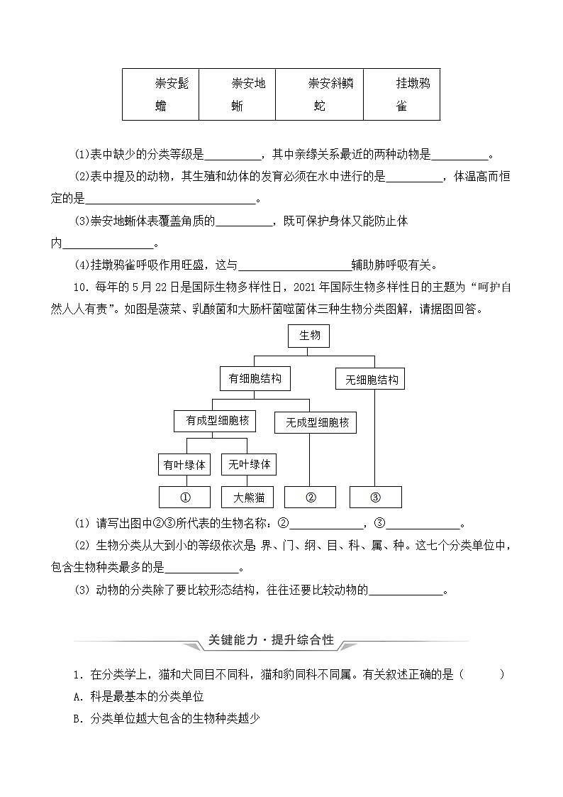 人教版八年级上册6.1.2《从种到界》课件+教案+导学案+分层作业03