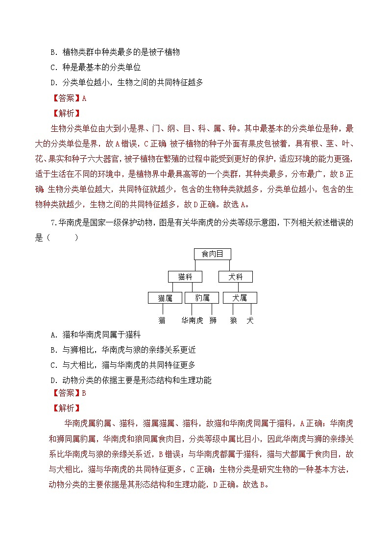 人教版八年级上册6.1.2《从种到界》课件+教案+导学案+分层作业03