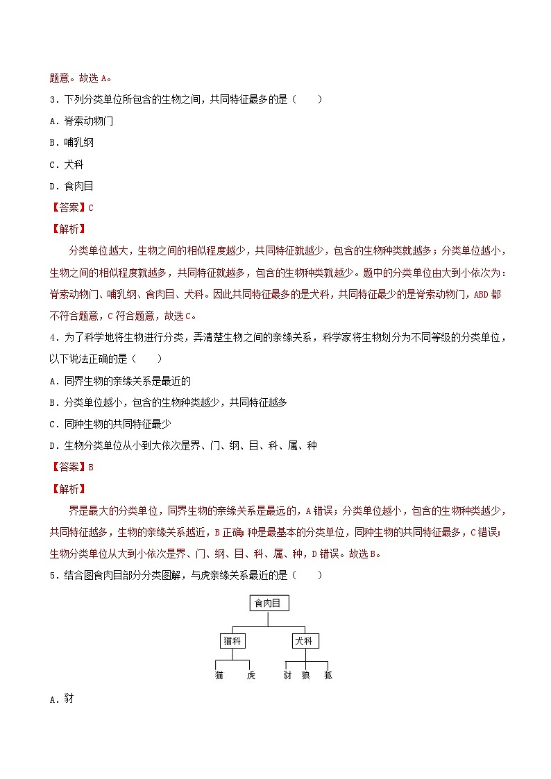 人教版八年级上册6.1.2《从种到界》课件+教案+导学案+分层作业03