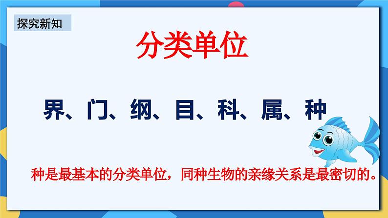 人教版八年级上册6.1.2《从种到界》课件+教案+导学案+分层作业06