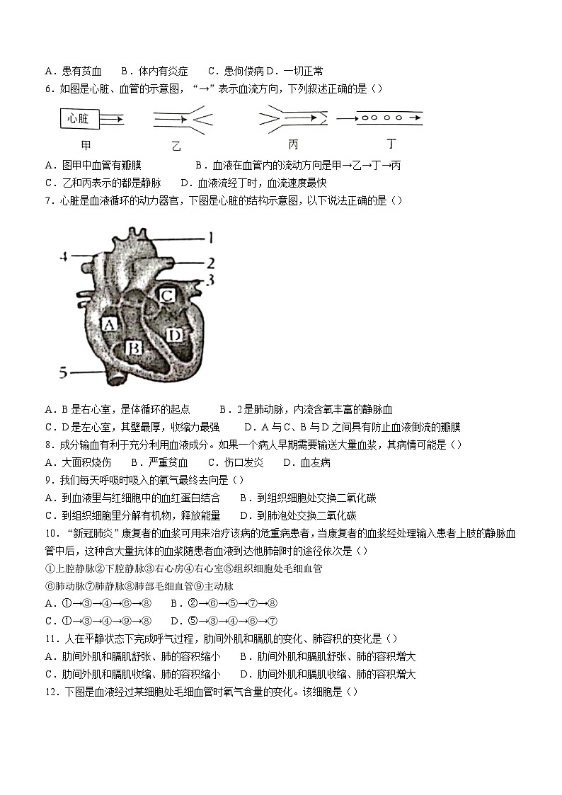 河北省秦皇岛市海港区2022-2023学年七年级下学期期末生物试题02
