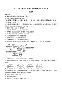 山西省吕梁市中阳县2022-2023学年八年级下学期期末生物试题