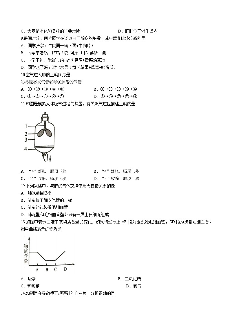 山西省朔州市朔城区2022-2023学年七年级下学期期末生物试题02