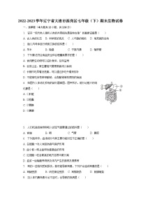 辽宁省大连市西岗区2022-2023学年七年级下学期期末生物试卷（含答案）