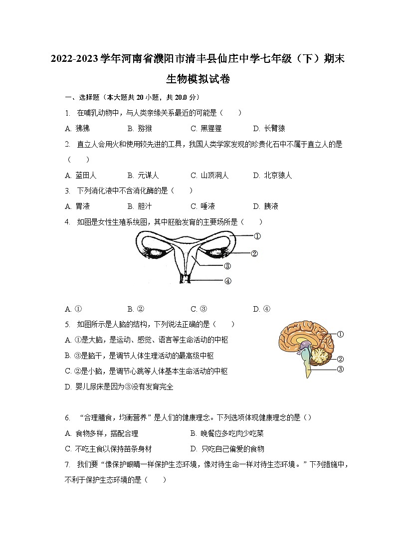 2022-2023学年河南省濮阳市清丰县仙庄中学七年级（下）期末生物模拟试卷（含解析）01