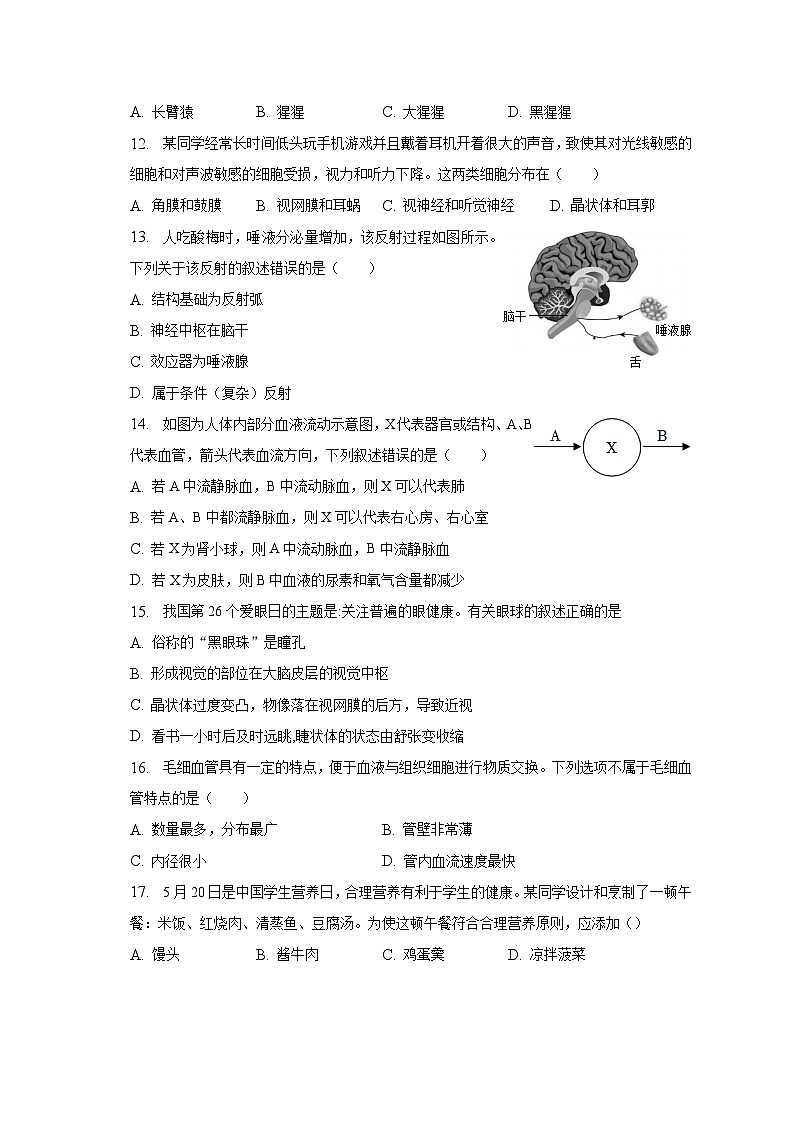 2022-2023学年河南省濮阳市清丰县仙庄中学七年级（下）期末生物模拟试卷（含解析）03